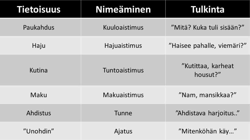 arttu-puhakka-tietoisuustaidot-5